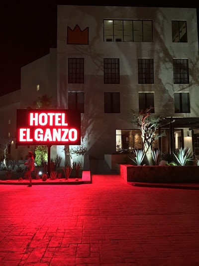 Hotel El Ganzo Design Boutique, Arts, Marina & Spa, San Jose del Cabo, Mexico