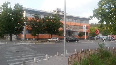 AMBASADOR PODGORICA, Podgorica, Montenegro