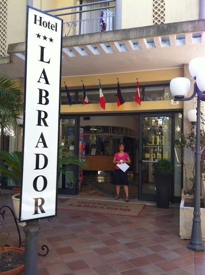 Labrador, Cattolica, Italy