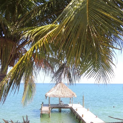 Parrot Cove Lodge, Hopkins, Belize