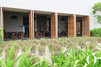 Nizuc Resort and Spa, Cancun, Mexico