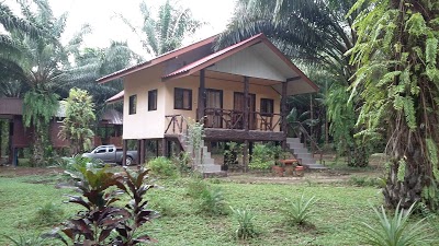 Khaosok Palmview, Phanom, Thailand