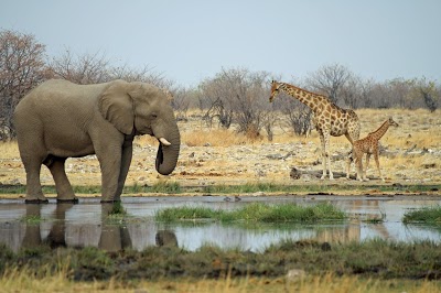 Emanya@Etosha Game Lodge, Tsumeb, Namibia