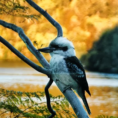Calabash Bay Lodge, Berowra Waters, Australia