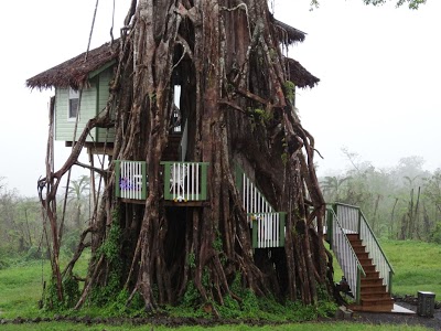 Lupe Sina Treesort, Siumu, Samoa