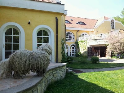 Cseri Kast, Totvazsony, Hungary