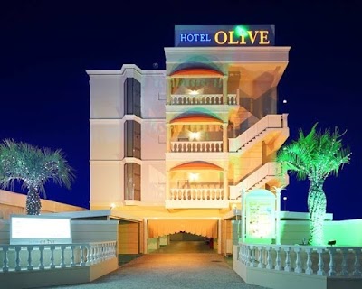Hotel Olive Sakai, Sakai, Japan