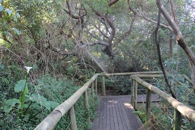 Tsala Treetop Lodge, Plettenberg Bay, South Africa