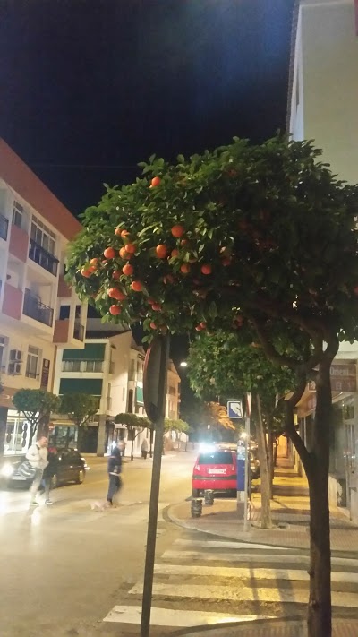 Hostal Acemar, Marbella, Spain