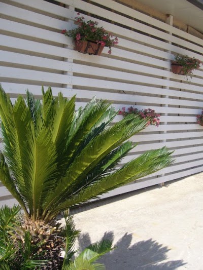 Cuore di Palme, Floridia, Italy