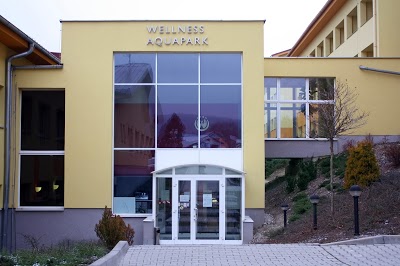 Wellness Hotel Frymburk, Frymburk, Czech Republic