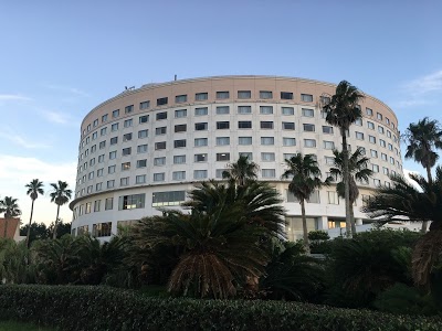 Holiday Inn ANA Miyazaki, Miyazaki, Japan
