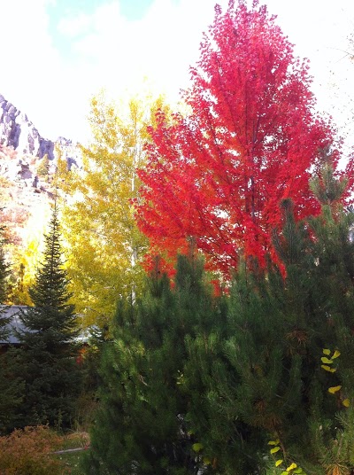 Alaskan Inn, Ogden, United States of America