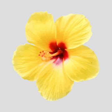 Pousada Flor do Porto, Ipojuca, Brazil