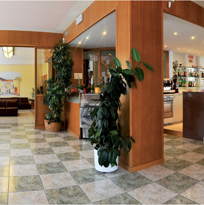 Hotel Villa Flora, levico terme, Italy