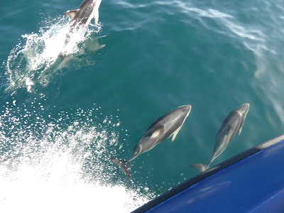 Kaikoura TOP 10 Holiday Park, Kaikoura, New Zealand