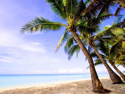 Playa Encantada, Playa del Carmen, Mexico