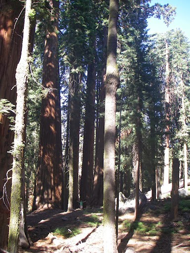 Rio Sierra Riverhouse, Three Rivers, United States of America