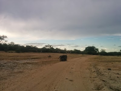 Moditlo River Lodge, Hoedspruit, South Africa