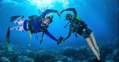 Reef Encounter, Cairns, Australia