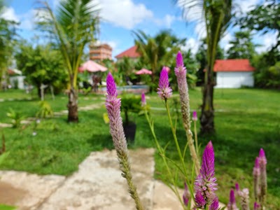 The Mansion Siem Reap, Siem Reap, Cambodia
