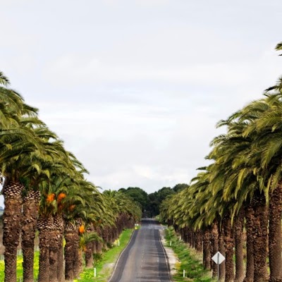 Seppelts View Cabins, Seppeltsfield, Australia