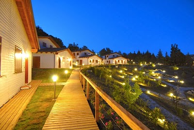 Agriturismo Freelandia, Montescudo, Italy