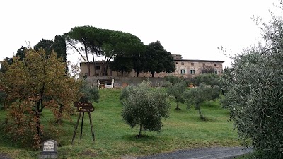 Tenuta Mocajo, Montecatini Val di Cecina, Italy