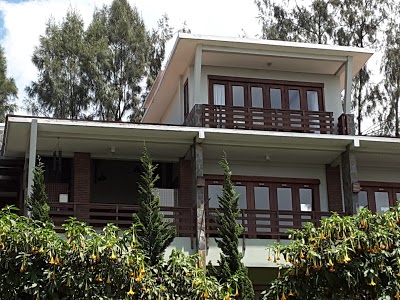 Java Banana, Ngadisari, Indonesia