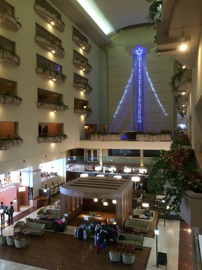New Akan Hotel, Kushiro, Japan