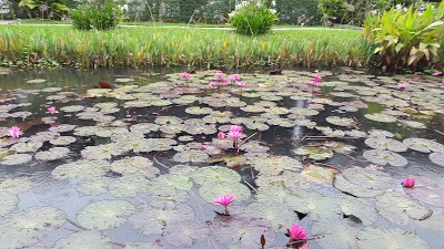 Sanctuary Hotel, Luang Prabang, Lao People's Democratic Republic