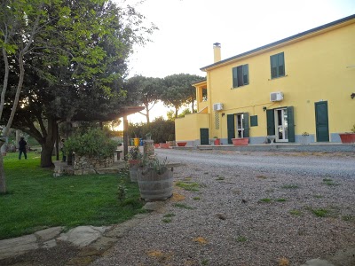 Agriturismo Erthola, Magliano in Toscana, Italy