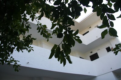 Kalathos Sun Hotel, Rhodes, Greece