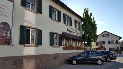 Hotel Restaurant Hanauer Hof, Appenweier, Germany
