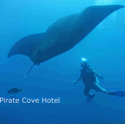 Pirate Cove, Golfo Dulce, Costa Rica