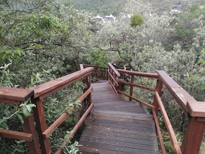 Miarestate, Haga Haga, South Africa