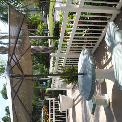 Terrace Park Suites, Saint Petersburg, United States of America
