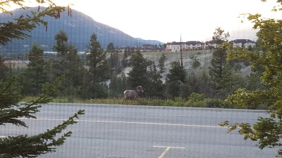 Best Western Plus - Prestige Inn Radium Hot Springs, Radium Hot Springs, Canada