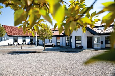 Klitrosen, Fjerritslev, Denmark
