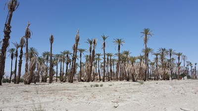Palm Shadow Inn, Indio, United States of America