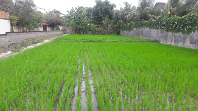 Rumi Villas, Seminyak, Indonesia