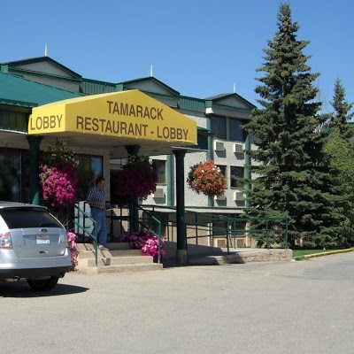 Tamarack Motor Inn, Rocky Mountain House, Canada