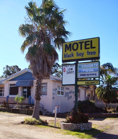 Blackboy Tree Motel, Taree, Australia