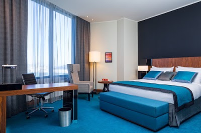 Radisson Blu Hotel, Moscow Sheremetyevo Airport, Moscow, Russian Federation
