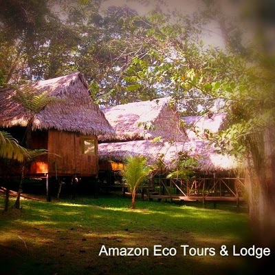 Amazon Eco Tours & Lodge, Iquitos, Peru