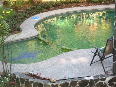 Hotel Bijagua, Fortuna, Costa Rica
