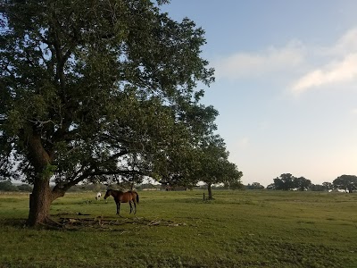 Bella Vista Cottage, Fredericksburg, United States of America