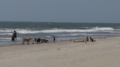Shiva Beach House, Mandrem, India
