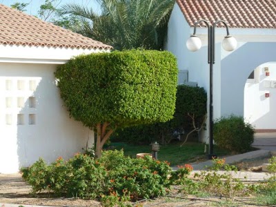 Sheraton Sharm Hotel, Resort, Villas & Spa, Sharm El Sheikh, Egypt