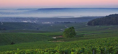 LE ROYAL CHAMPAGNE, Champilon Epernay, France
